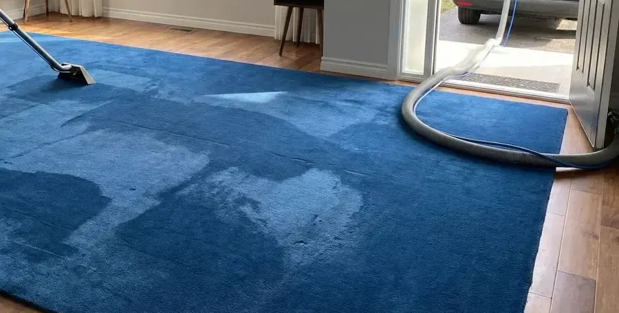 An extraction wand pulling water out of a soaked area rug